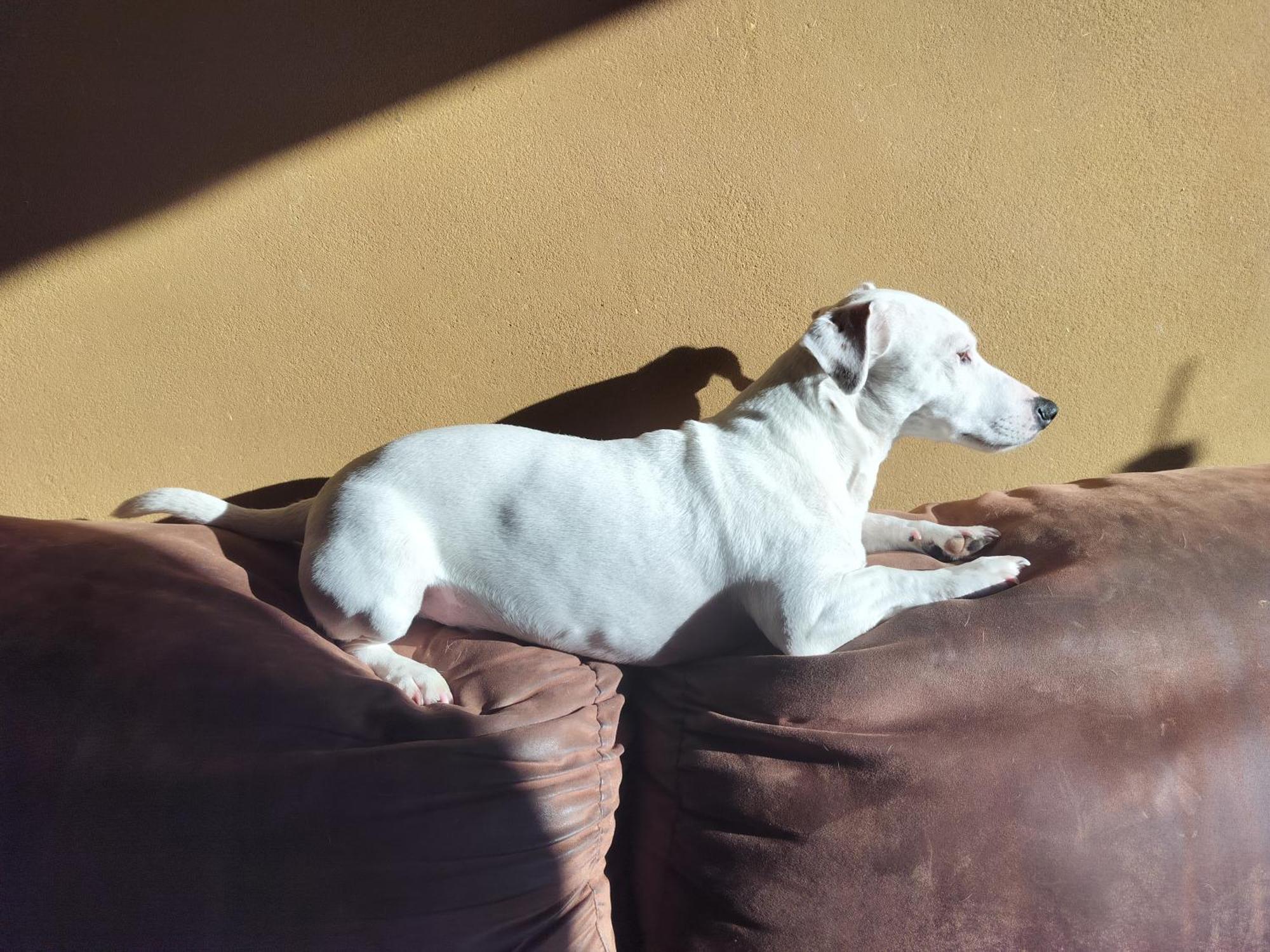Gee Is Sharing Her Home Λιέγη Εξωτερικό φωτογραφία